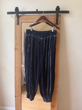 Anthropologie Gloria Velvet Jogger Size 2X